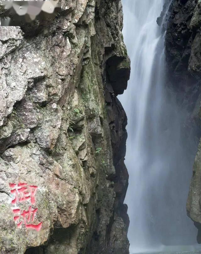 亚当玩高尔夫